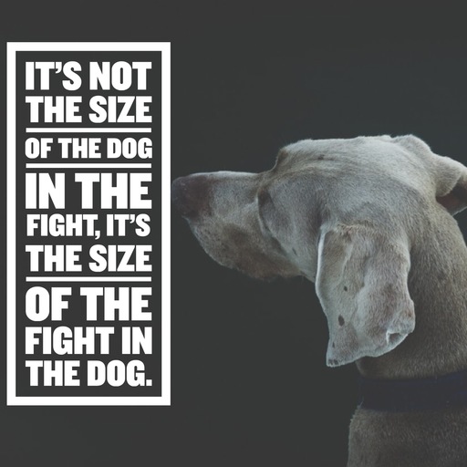 its-not-the-size-of-the-dog