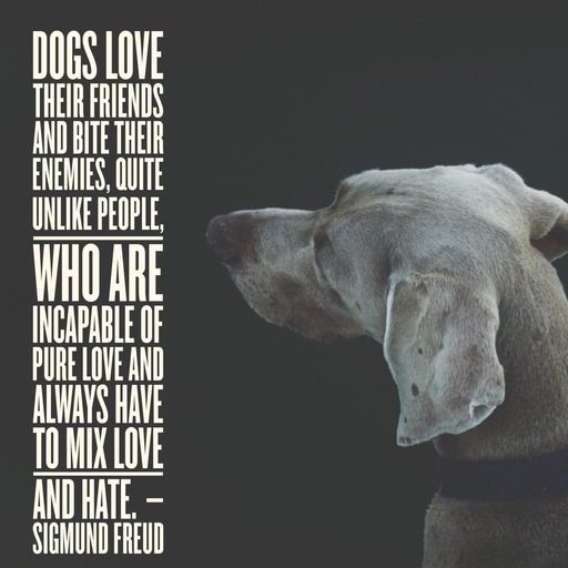 sigmund-freud-dogs-love-their-friends