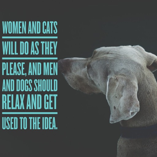 women-and-cats-will-do