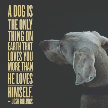 Dog Quotes: 25 Sayings Only Dog Lovers Will Understand