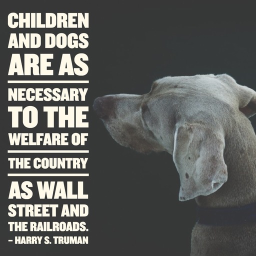 children-and-dogs-are