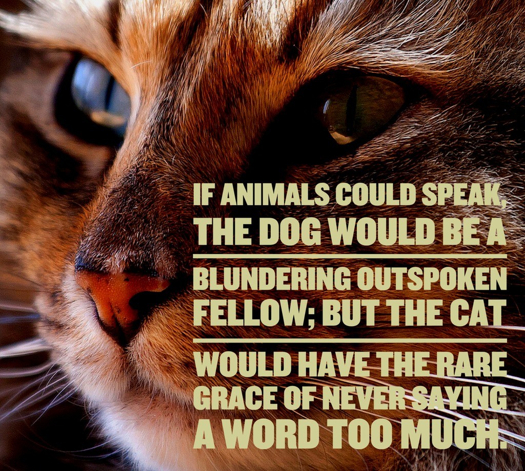 if-animals-could-speak-the-dog-cat-quotes